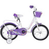 Детский велосипед TECH TEAM FIREBIRD 16